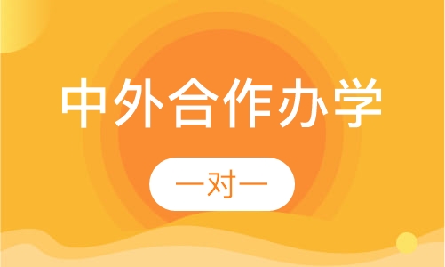 中外合作办学
