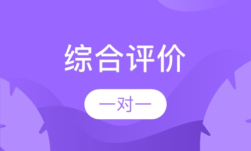 综合评价
