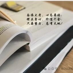 湖北省八校联考2025-2026学年高二11月份期中语文试卷+答案