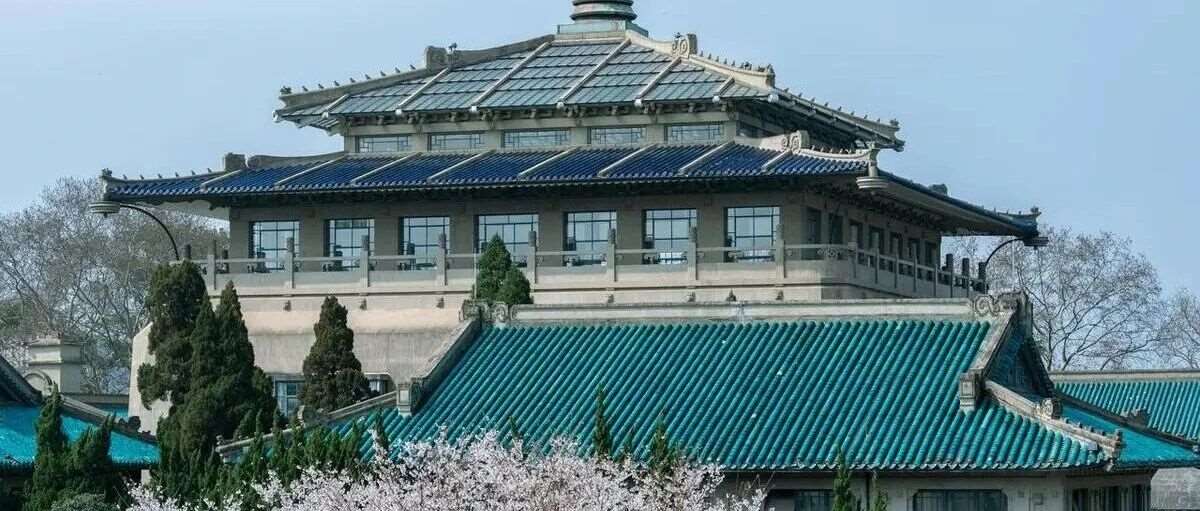 武汉大学2026年强基计划招生简章