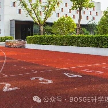2026届武汉高三九调数据出炉